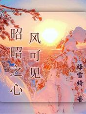 昭昭之心风可见